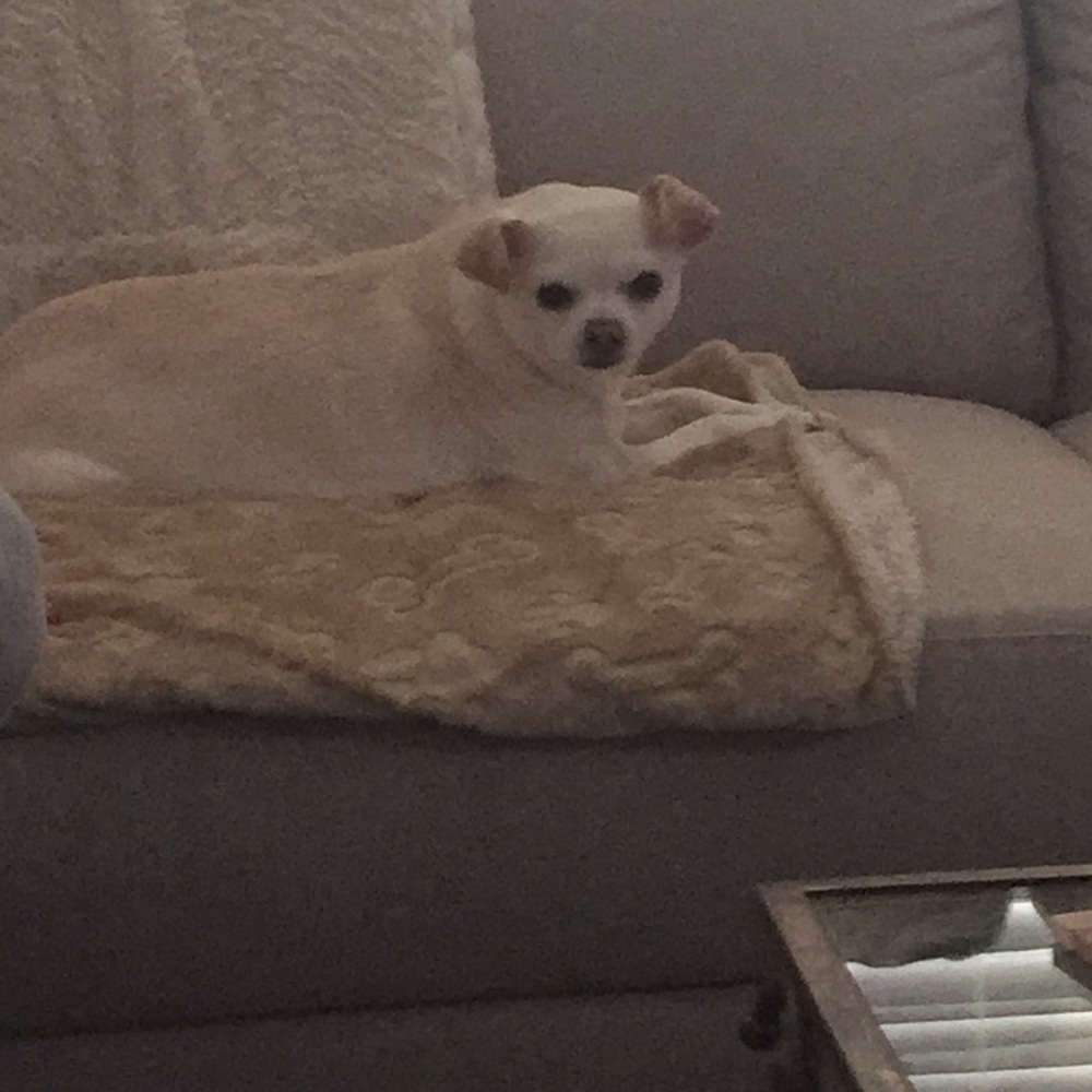 Meet your Posher, Jerri